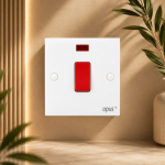 20A Switch with Neon